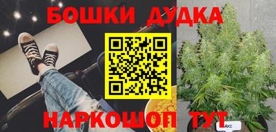 прущие грибы Пугачёв