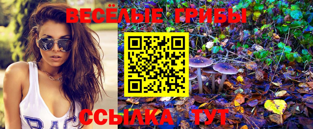 Псилоцибиновые грибы ЛСД  Вход с VPN  Северск 